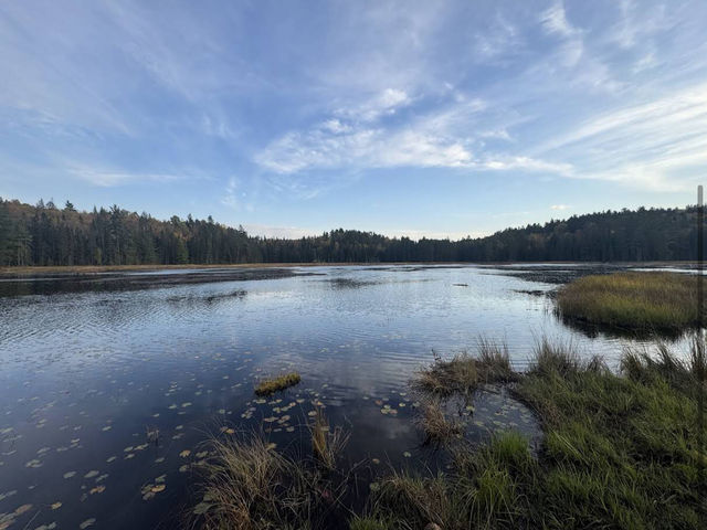 Algonquin Provincial Park Algonquin Provincial Park