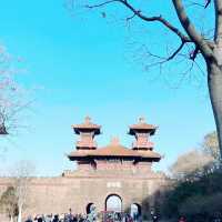 Road to Wonderland donghu eye Ferry Wheel