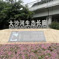 打卡深圳大沙河生態長廊