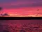 calypso_6275