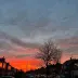 ezra_silverwood_89