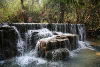 The place where "Spring" and "The Birth of Venus" can be filmed.