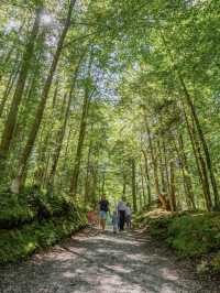 Lake Eibsee, beneath Germany's highest peak, boasts stunning scenery like a fairyland.