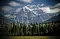 WhisperingWinds42ce