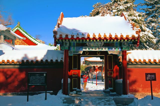 一下雪，哈爾賓文廟就變成了故宮