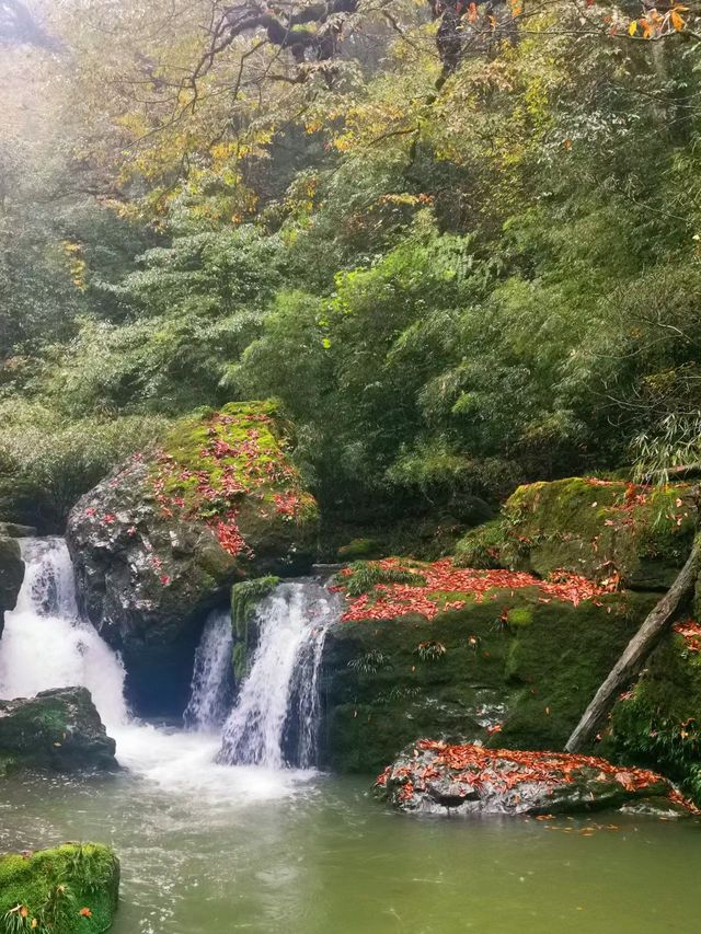 雅安龍蒼溝