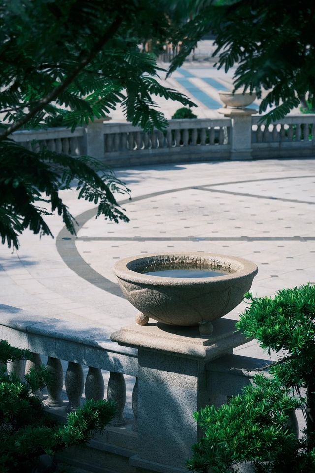 深圳遊玩推薦丨新橋市民廣場