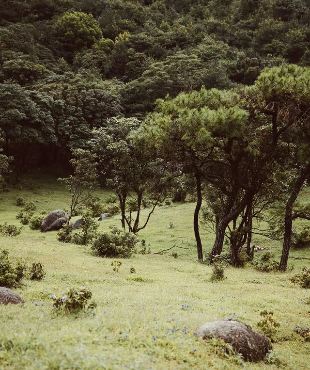 廣東景點-雲浮八排山