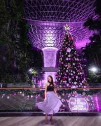 新加坡濱海灣金沙：聖誕購物特輯，讓你感受溫馨的聖誕氣氛！