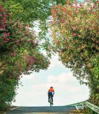 眼前一亮:「海上」自行車道