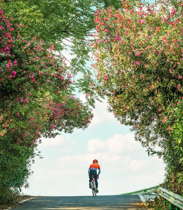 眼前一亮:「海上」自行車道 眼前一亮:「海上」自行車道