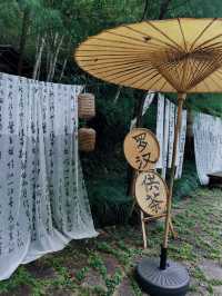 天台三日深度遊，何止最美寺，山上更有靈