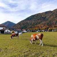 🏞️ Explore Bavaria: A Journey Through Germany's Enchanting Heartland