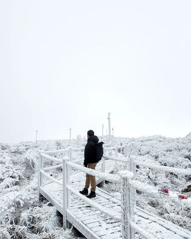 winter-fairy-tale-hallasan-in-the-snow-conquers-my-heart-trip-jeju