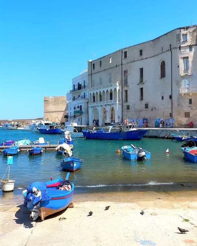 Discover the Hidden Gem of Italy: The Timeless Allure of Puglia 🇮🇹✨
