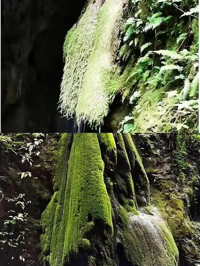 會澤雨碌大地縫