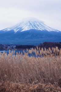 又是花式看富士山的一天，依然是選擇了包車一日遊，因為冬天天黑得早，我們選擇了7點就從東京開車出發了