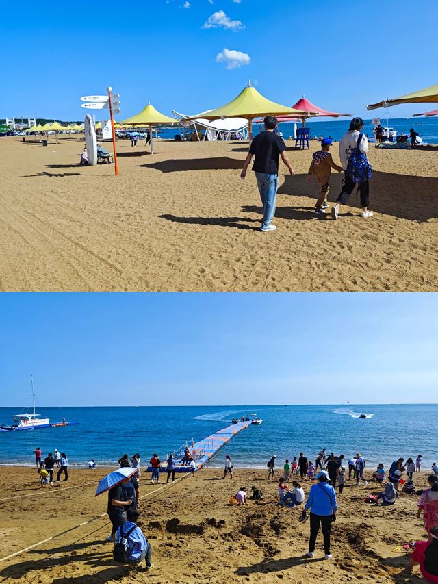 週末去大連金石灘—釣魚餵海鷗