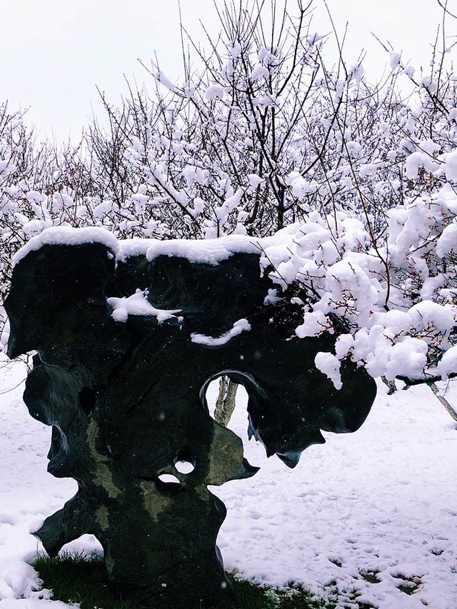 瑞雪悄盈園：雪後逍遙津