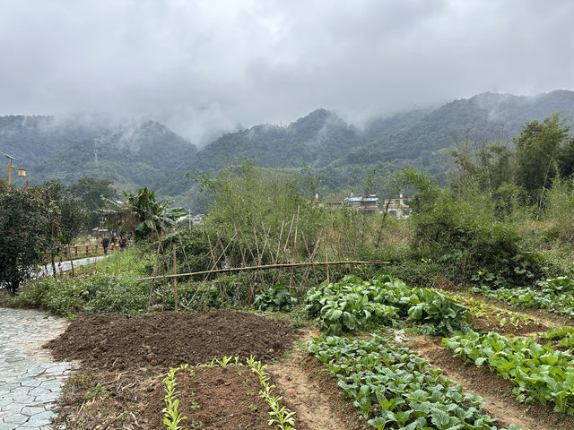 深渡水瑶族鄉是廣東七個少數民族自治鄉之一，這裡的自然生態環境原始，負離子含量高，空氣清新