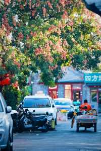 國慶一定要逛下四九城胡同 暴走或騎行