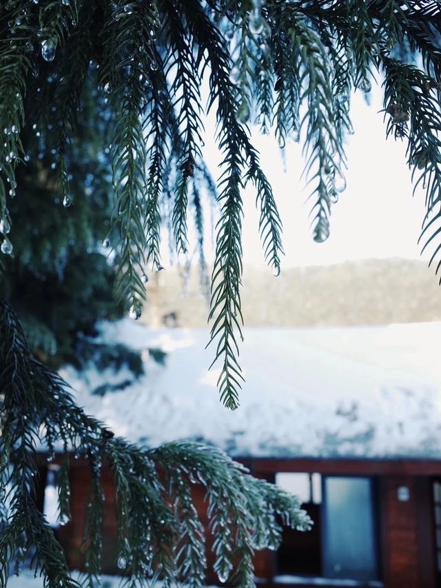 重慶下雪啦分享10個看雪好去處！