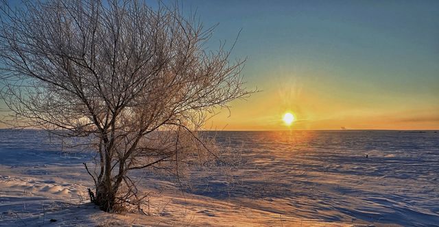 夢境之上的凍土：根河源的冬日黃昏
