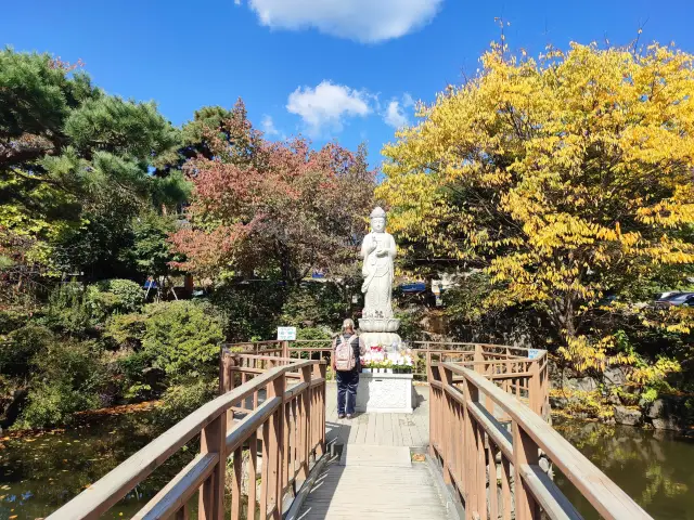 繁華の中で清廉を求め、修行は奉恩寺に来ます