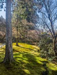 京都郊區一日遊