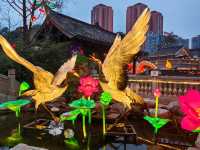 年味成都免費燈會·聚餐、打卡好去處