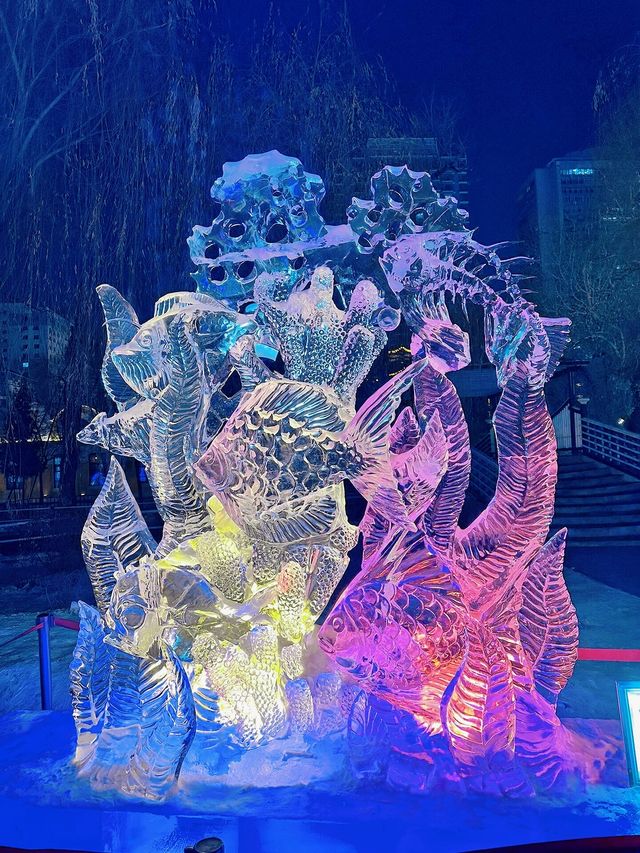 2月2日 夜遊哈爾濱兆麟公園