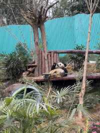 春節遊玩好去處！！和野生動物近距離互動