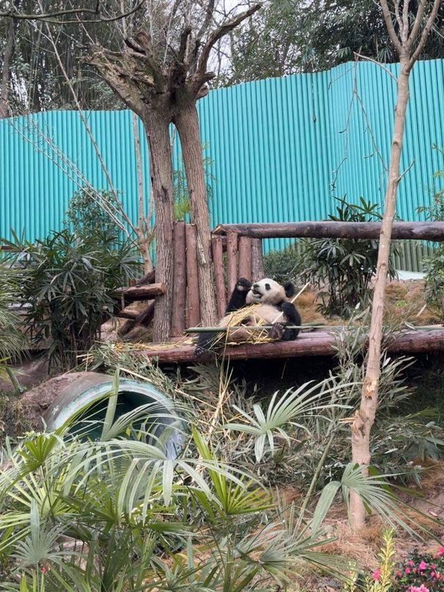 春節遊玩好去處！！和野生動物近距離互動