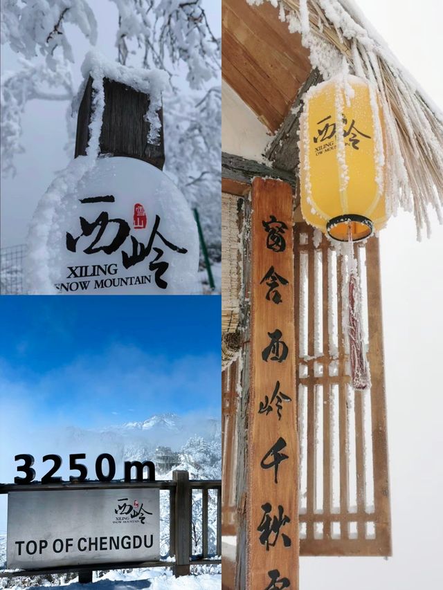 姊妹們來川西與雪來一次擁抱呗