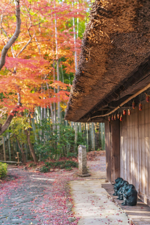 高松旅行四國村