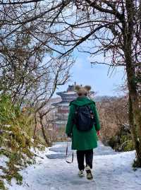 天門山｜借一場雪的名義，把「想去」變成「走過」