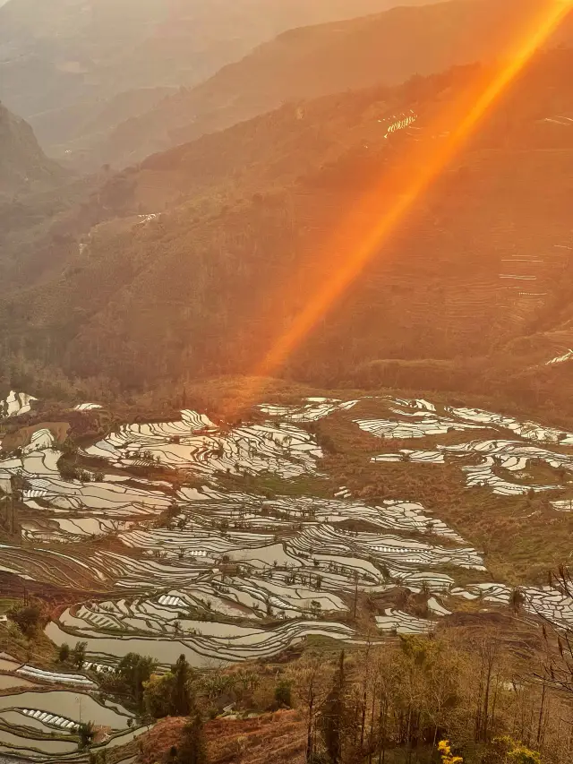 梯山為田，波光瀲灩