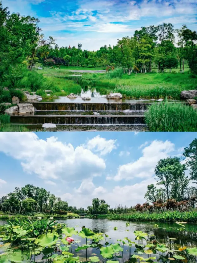 Chengdu's free treasure park that is directly accessible by public bus and subway for strolling with kids