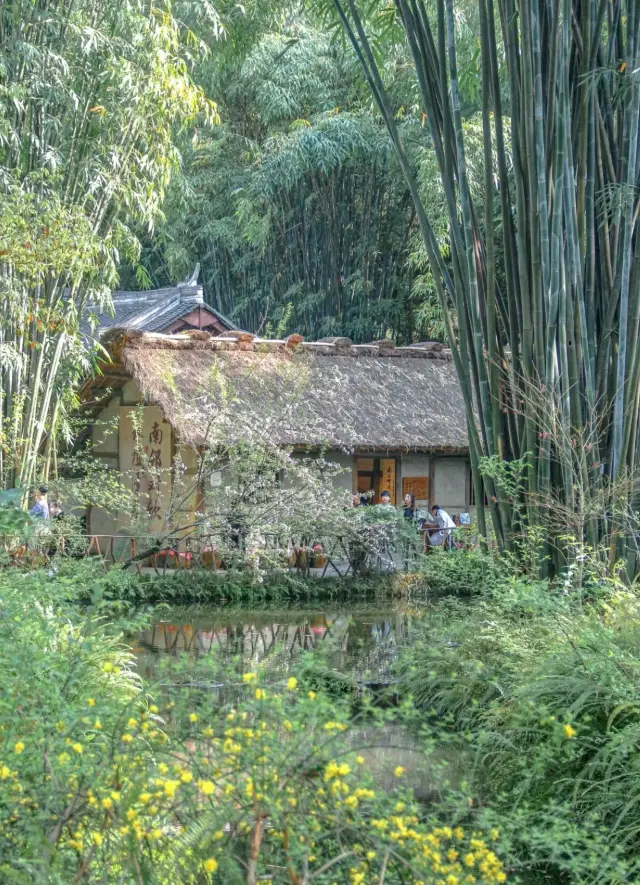 The laid-back Chengdu