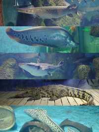 觀瀾山水田園，釣魚溫泉遊玩一站式服務
