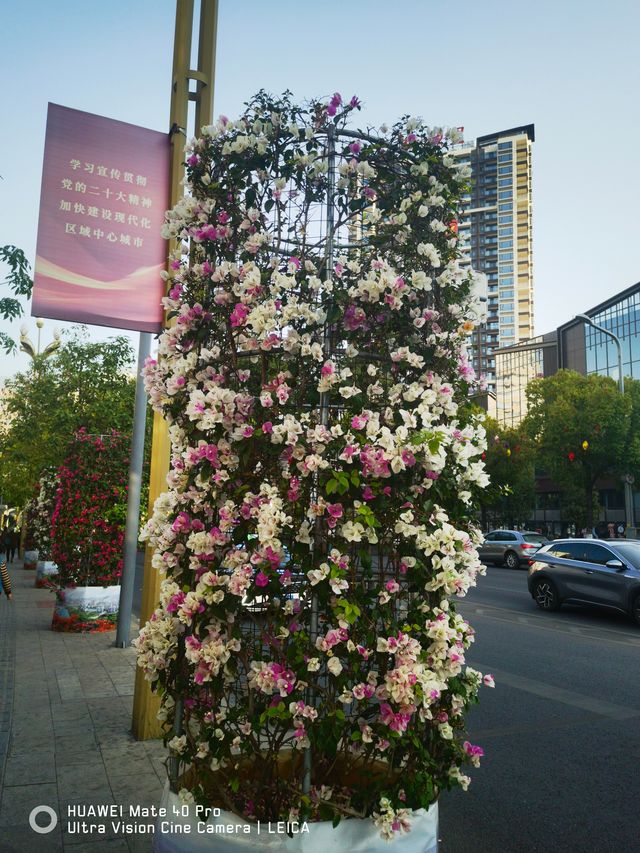 陽光康養地：攀枝花