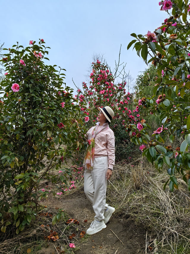 騰沖小眾中緬邊境徒步路線，高黎貢山分支體力一般可體驗