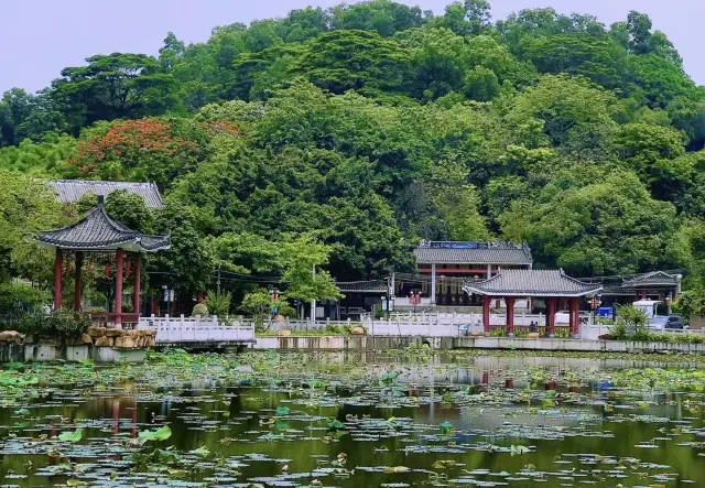 穿越時空的秘境探索！尋找遺失的歲月印跡