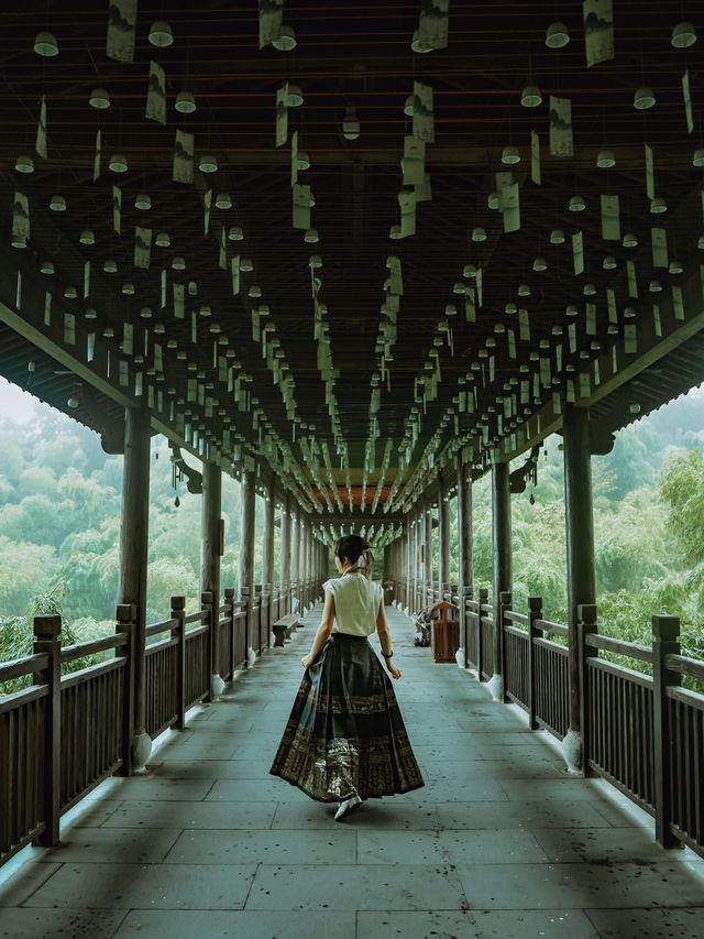 雨天的竹海火車像穿越了溧陽真實感受