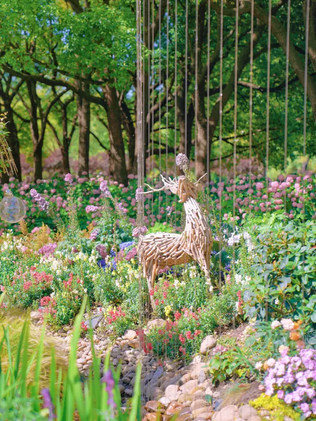 The flower exhibition featuring over 50,000 hydrangea plants has begun at Shanghai Binjiang Forest Park!