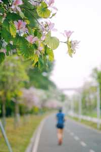 春遊記｜花開實況！大學城賞花踏青遛娃露營