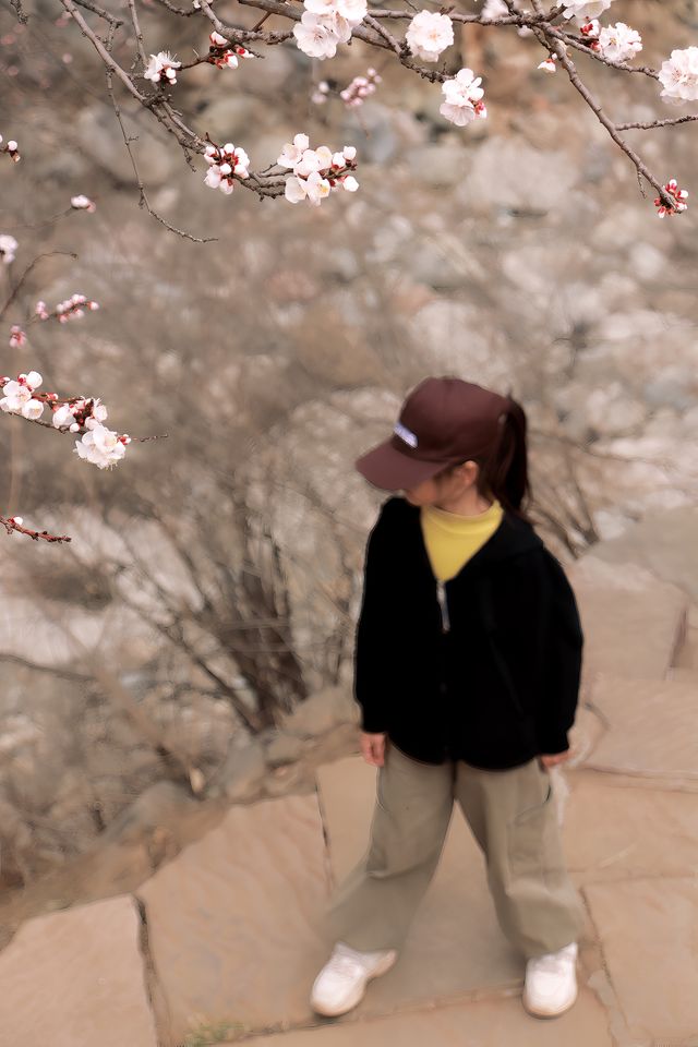 石家莊賞花丨十里杏花谷