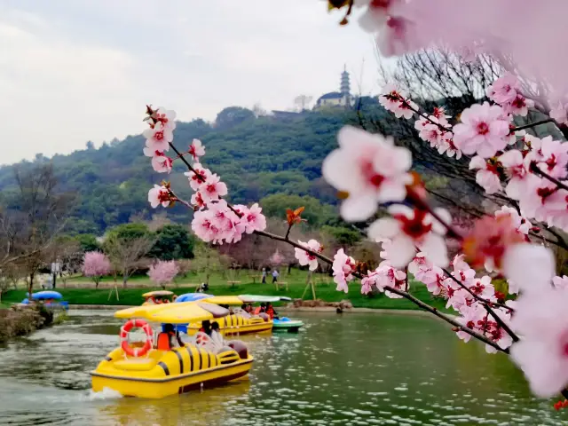 上方山百花節