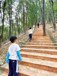 徒步賞花誤入佛山小京都 ｜展旗峰生態公園｜廣州周邊親子遊