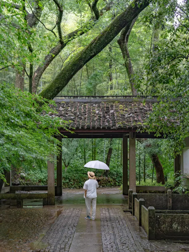 聽我一句勸雨中無人的雲棲竹徑才是yyds